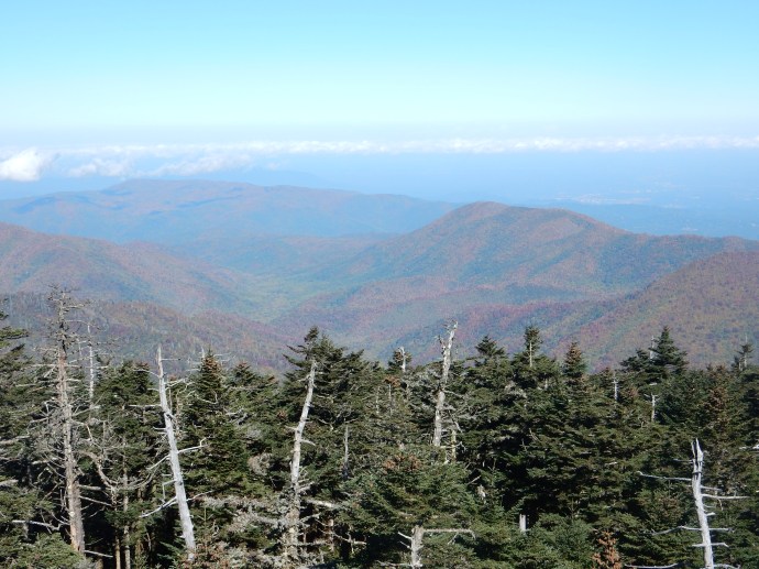 View from Clingmans Dome