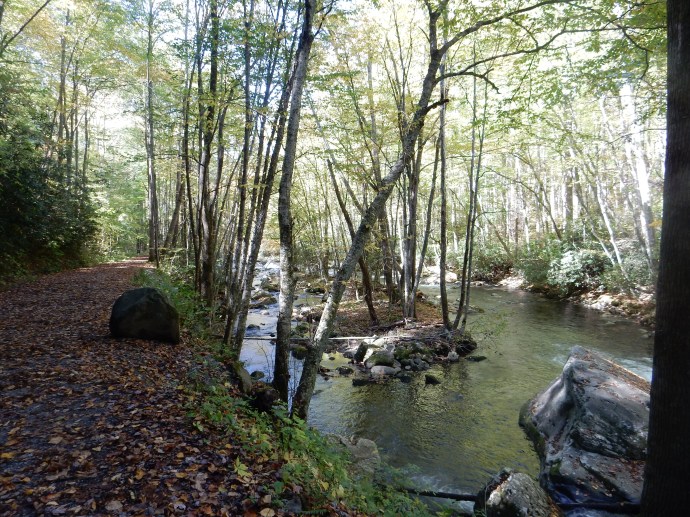 Hiking along the Little River