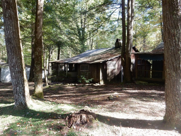 Cabin in Elkmont area