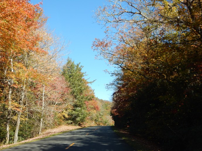 Along the Blue RIdge Parkway