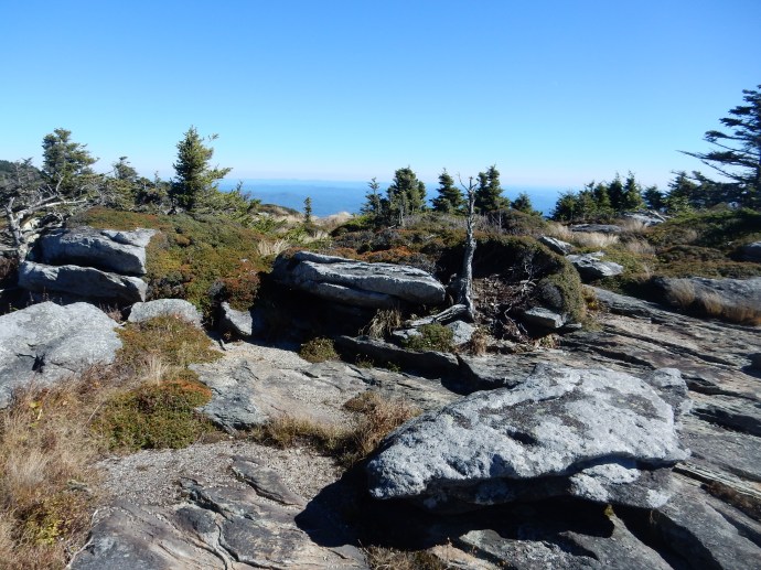 higher elevation rocks and flora