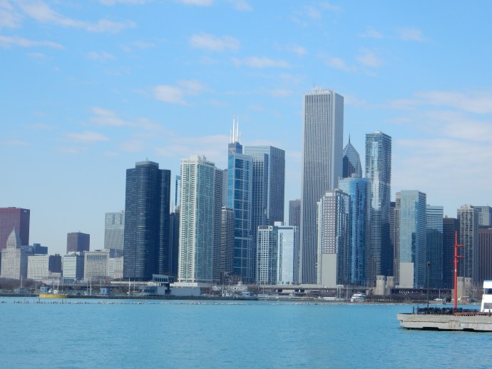 A portion of the Chicago skyline 