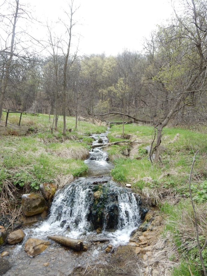 Spring fed creek at Camden State Park