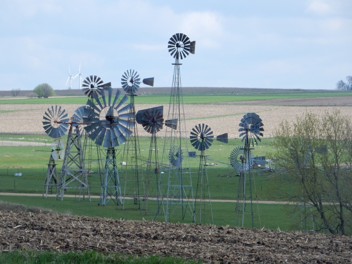 Windmill collection in Jasper MN with wind turbines in background 