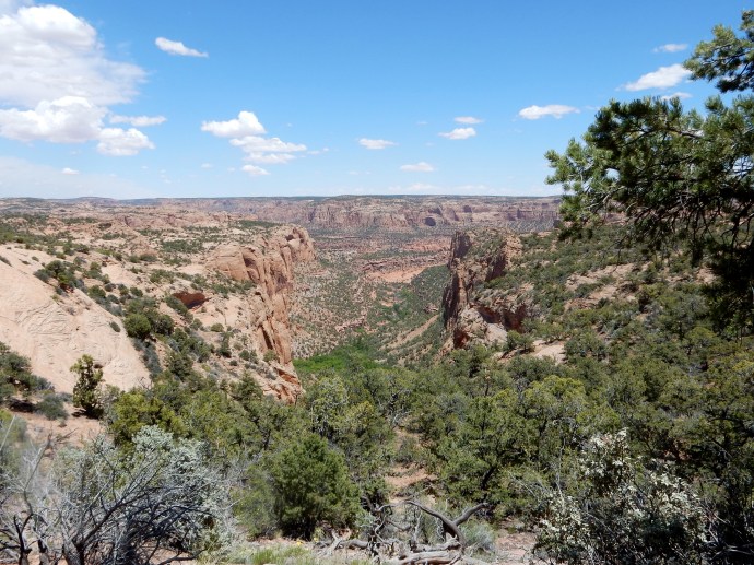 View into the valley at Navajo National Monument