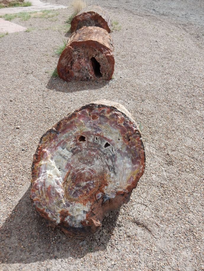 Petrified logs at Petrified Forest National Park