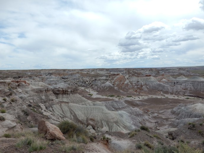 Another view at Blue Mesa