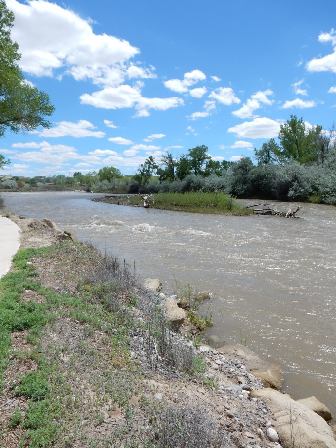 The Animas River in NM