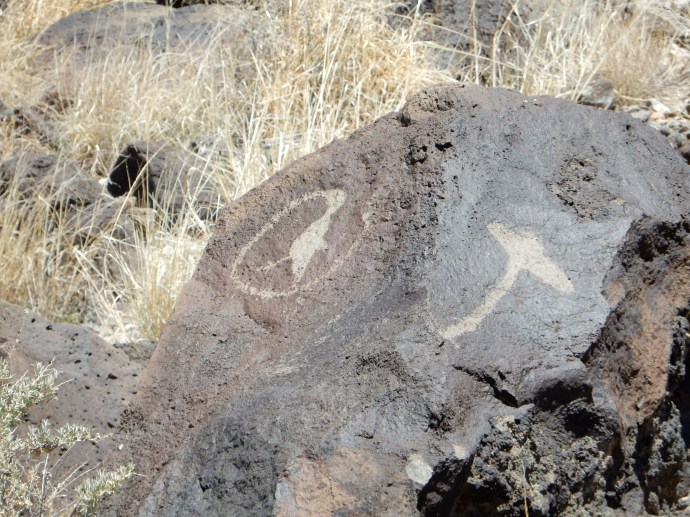 One of many petroglyphs