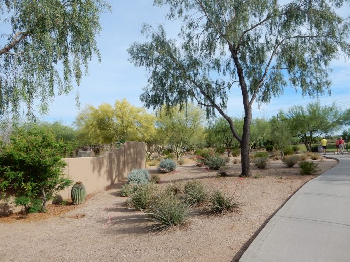 Saturday morning walk