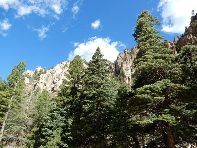 Driving through the mountains of New Mexico