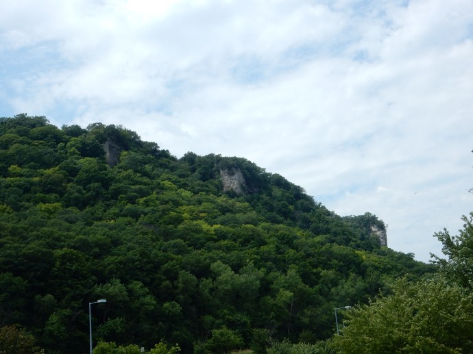 Looking at the bluffs in John Latsch State Park