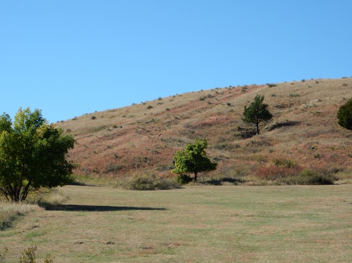 Hillside with ruts from settlers' wagons