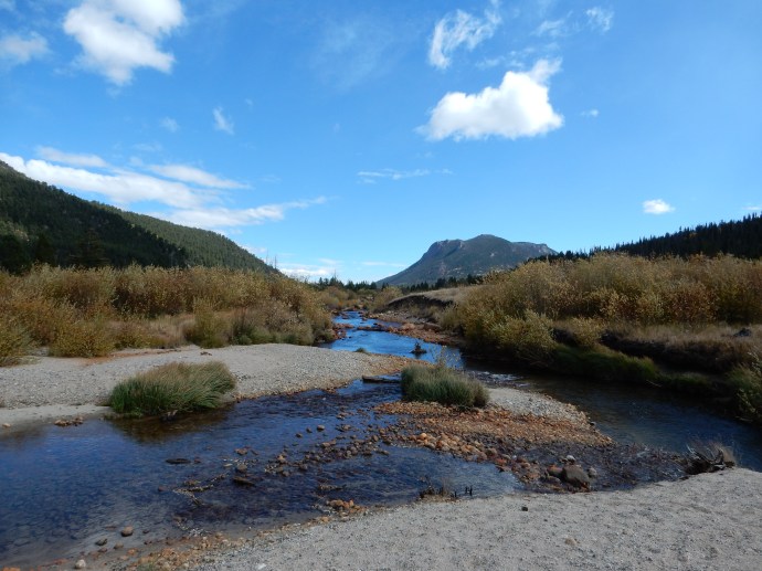Looking downstream at Alluvial Fan
