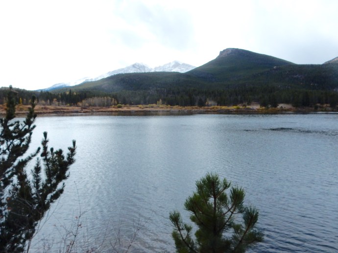 Lily Lake at Rocky Mountain National Park