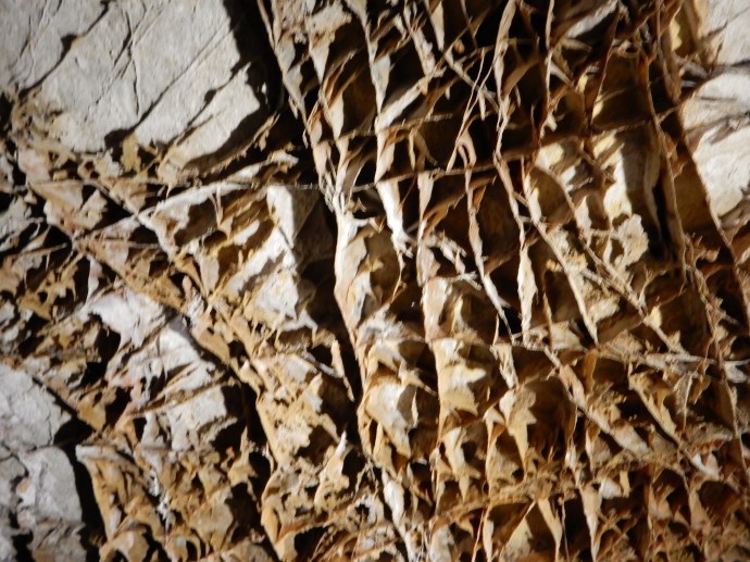 Boxwork formation at Wind Cave National Park