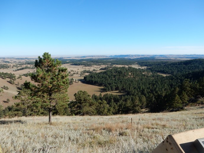 Looking east from Rankin Ridge