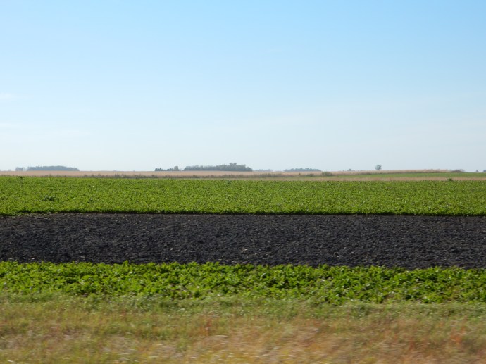 The deep black soil in MN agriculture