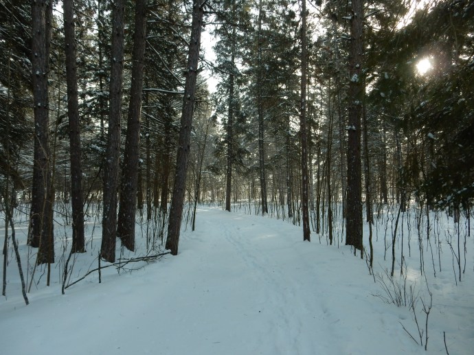 Walking in the woods