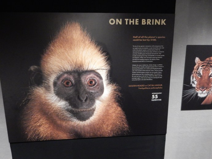 From the National Geographic PhotoArk exhibit