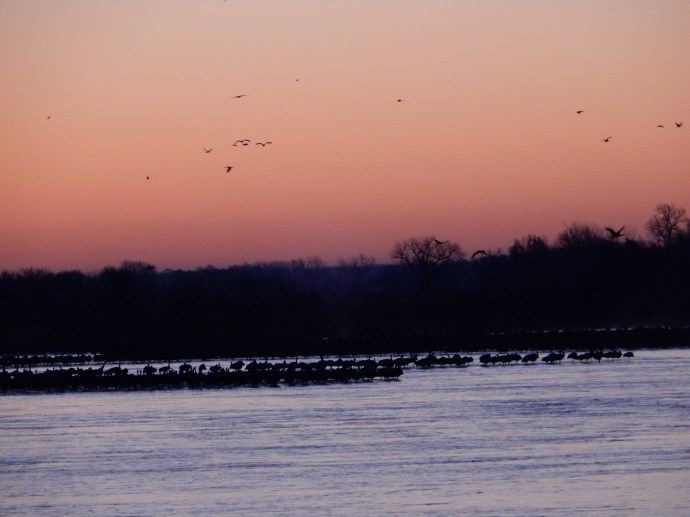 Sunrise on the Platte River
