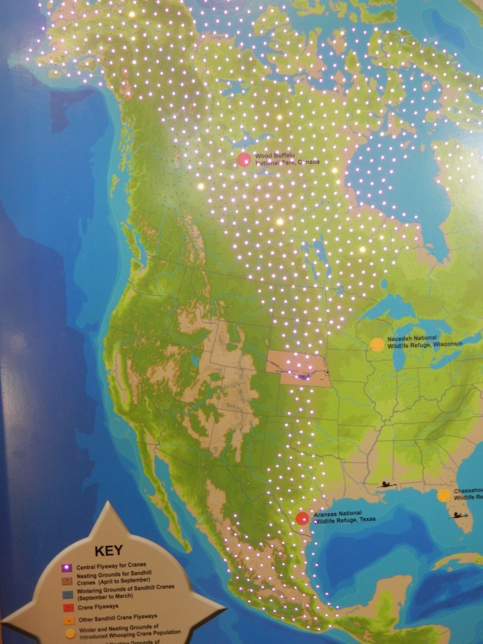 Crane migration path showing the pinch point on the Platte River